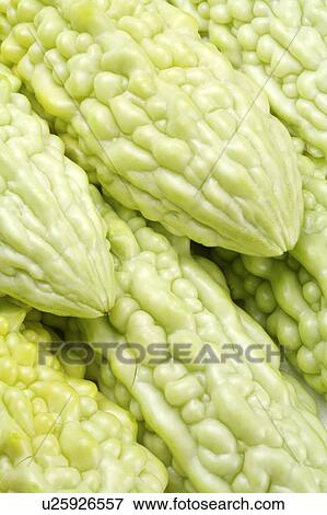 Balsam pear View Large Photo Image Stock Photo - Balsam pear. Fotosearch