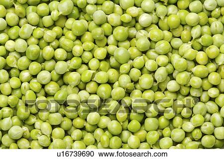 Stock Image - Beans. Fotosearch