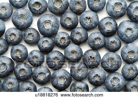 Blue berry View Large Photo Image Stock Photograph - Blue berry. Fotosearch