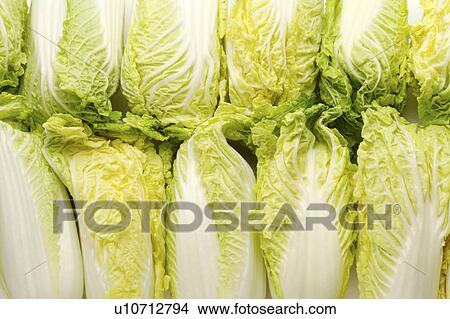 Cabbage View Large Photo Image Picture - Cabbage. Fotosearch
