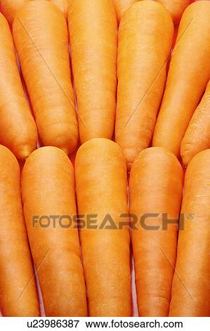 Carrot View Large Photo Image Stock Photo - Carrot. Fotosearch