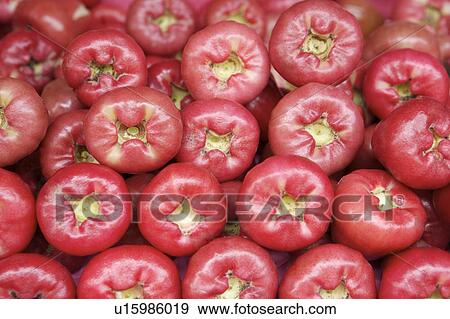 Stock Photo - Fruit. Fotosearch