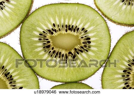 Kiwifruit View Large Photo Image Stock Photograph - Kiwifruit. Fotosearch