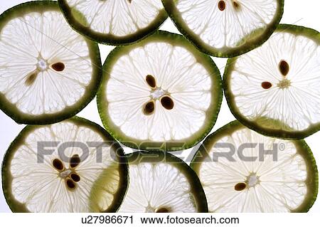 Stock Image - Lemon. Fotosearch