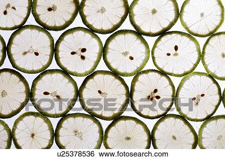 Lemon View Large Photo Image Stock Photograph - Lemon. Fotosearch