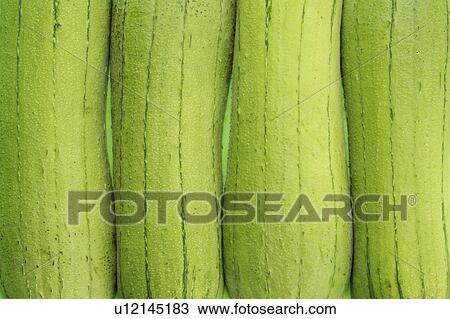 Stock Image - Luffa. Fotosearch