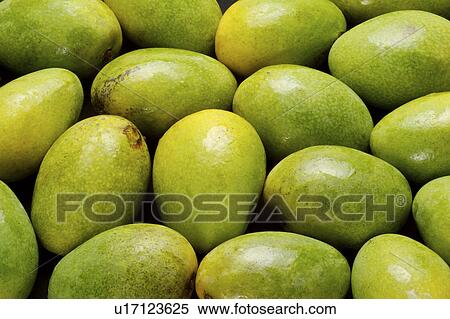 Stock Photography - Mango. Fotosearch