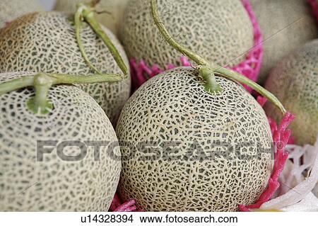 Picture - Melon. Fotosearch