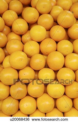 Stock Photograph - Oranges. Fotosearch