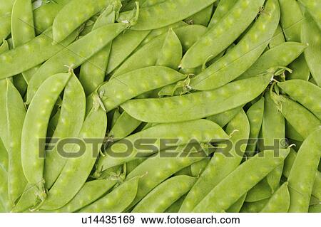 Pea View Large Photo Image Stock Photo - Pea. Fotosearch