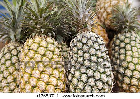 Stock Image - Pineapple. Fotosearch