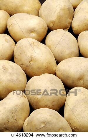Picture - Potato. Fotosearch