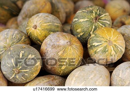 Pumpkin View Large Photo Image Stock Photo - Pumpkin. Fotosearch