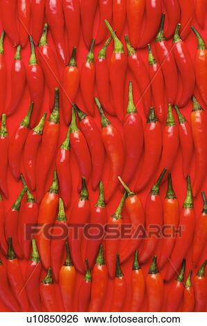 Red pepper View Large Photo Image Stock Photograph - Red pepper. Fotosearch