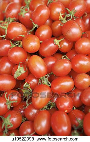 Tomato View Large Photo Image Stock Photo - Tomato. Fotosearch