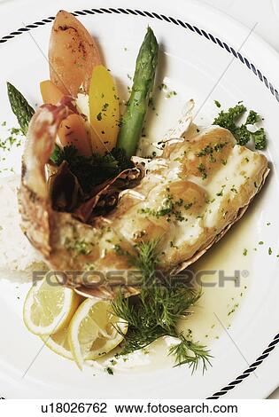 Close-up of a seafood in a plate View Large Photo Image Stock Image - Close-up of a seafood in a plate. Fotosearch