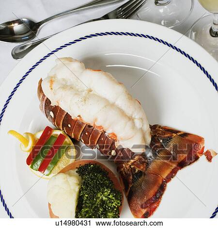 High angle view of a lobster dish on a plate View Large Photo Image Stock Image - High angle view of a lobster dish on a plate. Fotosearch