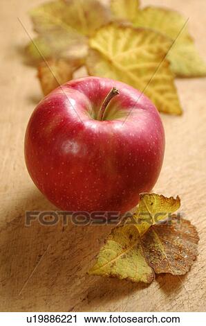 Stock Image - Apple. Fotosearch