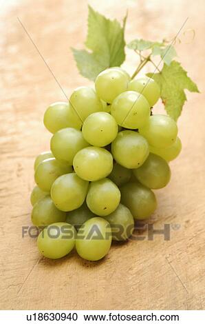 Grape View Large Photo Image Stock Image - Grape. Fotosearch
