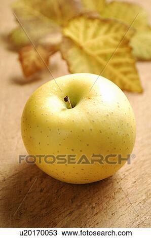Green Apple View Large Photo Image Stock Image - Green Apple. Fotosearch