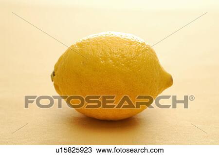 Lemon View Large Photo Image Stock Image - Lemon. Fotosearch