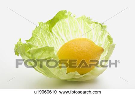 Lemon with lettuce leaf View Large Photo Image Stock Image - Lemon with lettuce leaf. Fotosearch