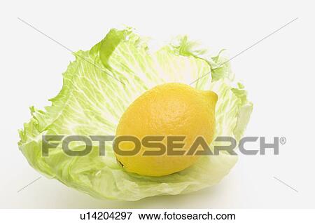 Lemon with lettuce leaf View Large Photo Image Stock Photo - Lemon with lettuce leaf. Fotosearch