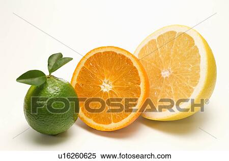 Stock Photography - Lime, Orange and Grapefruit. Fotosearch