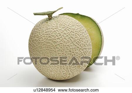 Muskmelon View Large Photo Image Picture - Muskmelon. Fotosearch
