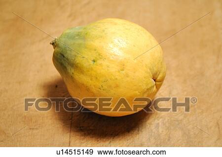 Papaya View Large Photo Image Stock Photo - Papaya. Fotosearch