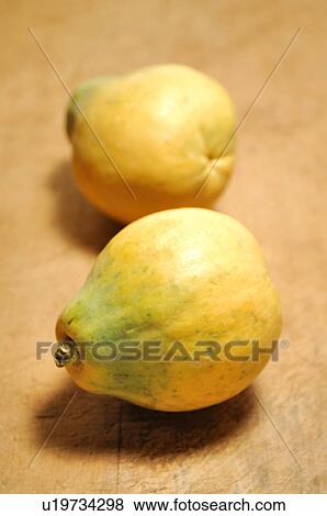 Papaya View Large Photo Image Stock Photo - Papaya. Fotosearch