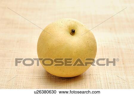 Pear View Large Photo Image Stock Image - Pear. Fotosearch