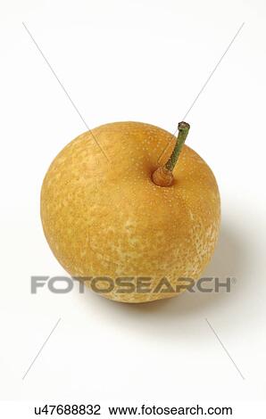 Pear View Large Photo Image Stock Image - Pear. Fotosearch