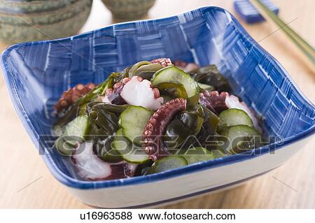Vinegar Octopus and Cucumber View Large Photo Image Stock Photo - Vinegar Octopus and Cucumber. Fotosearch