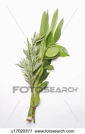 Stock Photo - Moxa and other Herbal Leaf for Dragon Boat Festival. Fotosearch