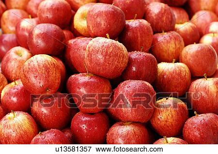 Close-up of apples View Large Photo Image Stock Photo - Close-up of apples. Fotosearch