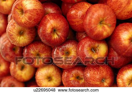 Stock Photo - Close-up of apples. Fotosearch