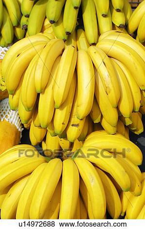 Stock Photo - Close-up of bunch of bananas. Fotosearch