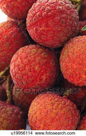 Picture - Close-up of bunch of lychee. Fotosearch