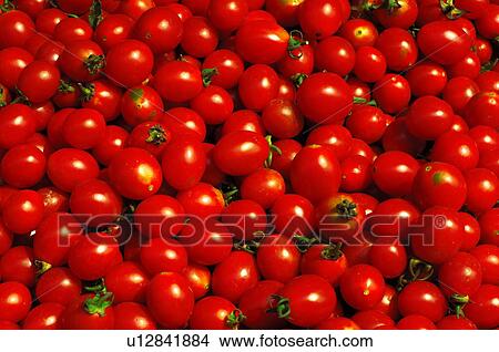 Close-up of cherry tomatoes View Large Photo Image Picture - Close-up of cherry tomatoes. Fotosearch