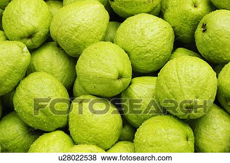 Stock Photo - Close-up of guavas. Fotosearch
