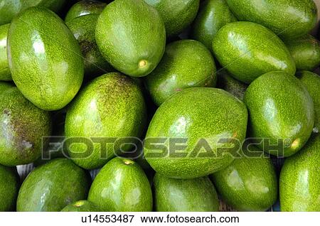 Stock Photo - Close-up of mangoes. Fotosearch