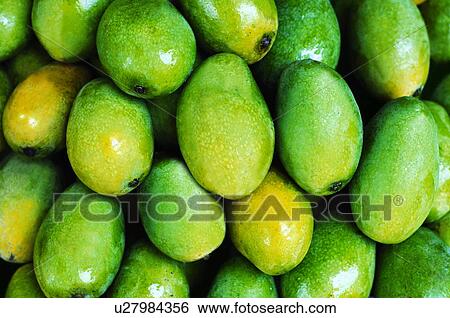 Stock Photograph - Close-up of mangoes. Fotosearch