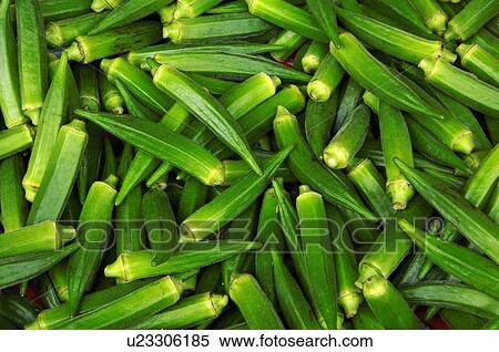 Stock Photography - Close-up of okras. Fotosearch