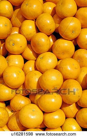 Stock Photo - Close-up of oranges. Fotosearch