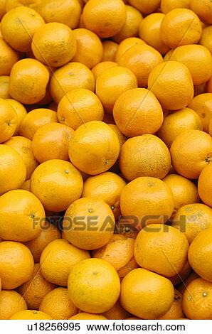 Close-up of oranges View Large Photo Image Stock Photography - Close-up of oranges. Fotosearch