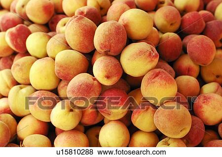 Stock Photo - Close-up of peaches. Fotosearch
