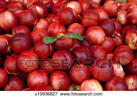 Close-up of peaches View Large Photo Image Stock Photo - Close-up of peaches. Fotosearch