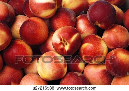 Close-up of peaches View Large Photo Image Stock Photo - Close-up of peaches. Fotosearch