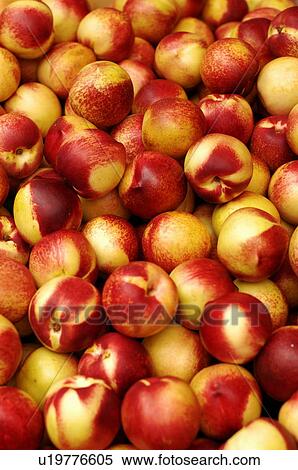 Stock Photography - Close-up of peaches. Fotosearch